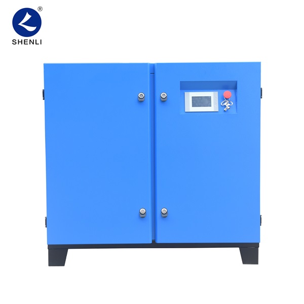 Small screw type air compressor