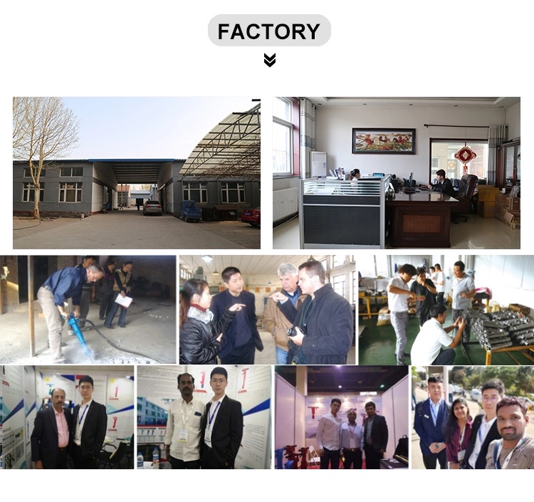 FACTORY PROFILE